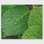 Papier Cadeau Pluie goutte d'eau feuilles humides (Plat)
