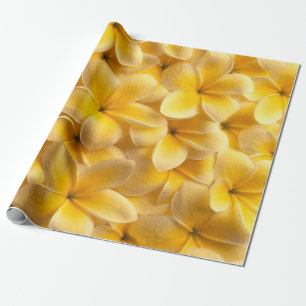 Papier Cadeau Plumeria Fleur Jaune