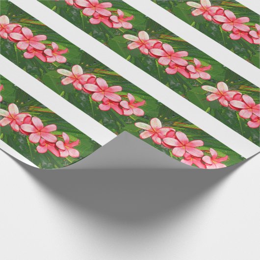 Papier Cadeau Plumerias (Coin)