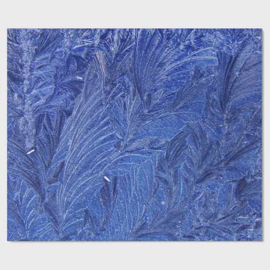 Papier Cadeau Plumes bleues (Plat)