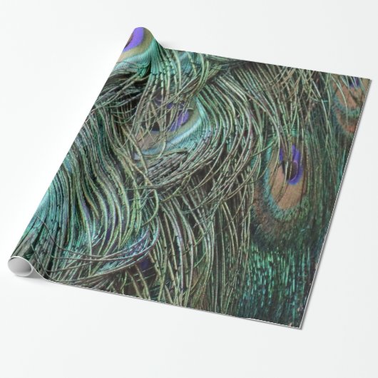 Papier Cadeau Plumes de paon (Déroulé)