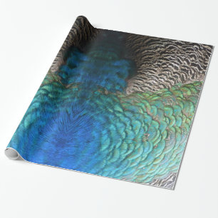 Papier Cadeau Plumes de paon I Design de nature abstrait coloré