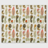 Papier Cadeau Plumes vintages (Plat)