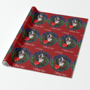 Papier Cadeau Plus grand Noël suisse de chien de montagne