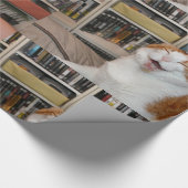 Papier Cadeau Podgy Scarlett (Coin)