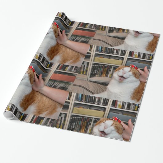 Papier Cadeau Podgy Scarlett (Déroulé)