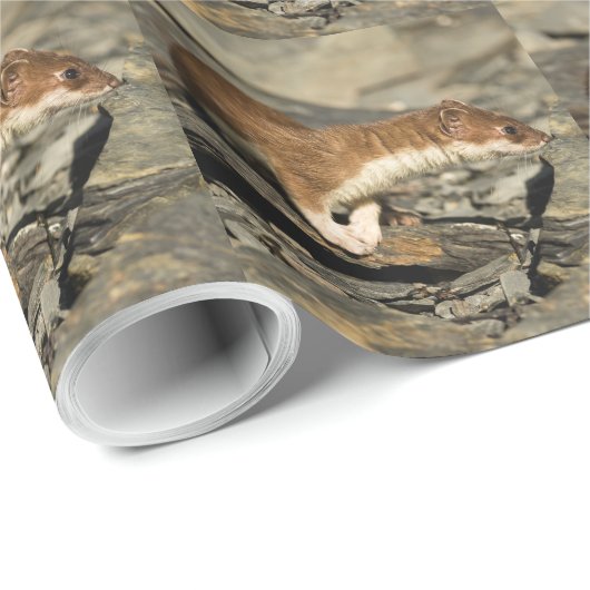 Papier Cadeau Poil de musculation (Coin rond)