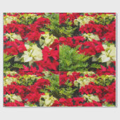 Papier Cadeau Poinsettia rouge de fleur de Noël (Plat)