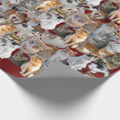 Papier Cadeau Point de rencontre des chats (Coin)