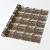 Papier Cadeau Pointer allemand à poil dur (Déroulé)