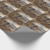 Papier Cadeau Pointer allemand à poil dur (Coin)