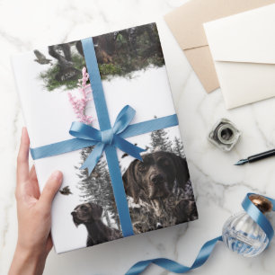 Papier Cadeau Pointeur à poils courts allemand