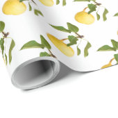 Papier Cadeau Poire sauvage (Coin rond)