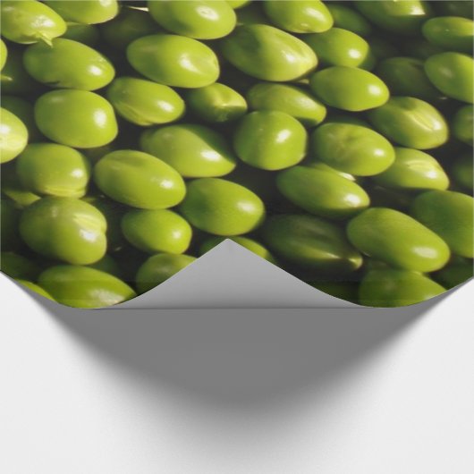 Papier Cadeau pois (Coin)