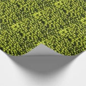 Papier Cadeau pois (Coin)