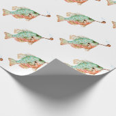 Papier Cadeau Poisson (Coin)
