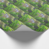 Papier Cadeau Poisson Ange (Coin)