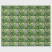 Papier Cadeau Poisson Ange (Plat)