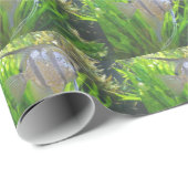 Papier Cadeau Poisson Ange (Coin rond)