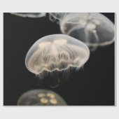 PAPIER CADEAU POISSON BLANC (Plat)