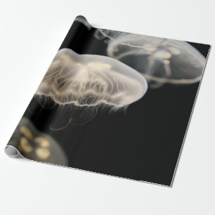 PAPIER CADEAU POISSON BLANC