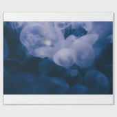 PAPIER CADEAU POISSON BLEU ET BLANC DANS L'EAU (Plat)