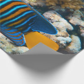 Papier Cadeau Poisson coloré mignon (Coin)