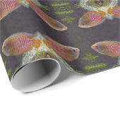 Papier Cadeau Poisson nain Gourami (Coin rond)