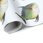 Papier Cadeau Poisson Opah tropical, animal aquatique marin Vint (Coin rond)