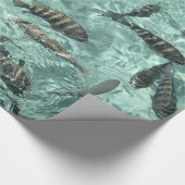 Papier Cadeau Poisson tropical (Coin)