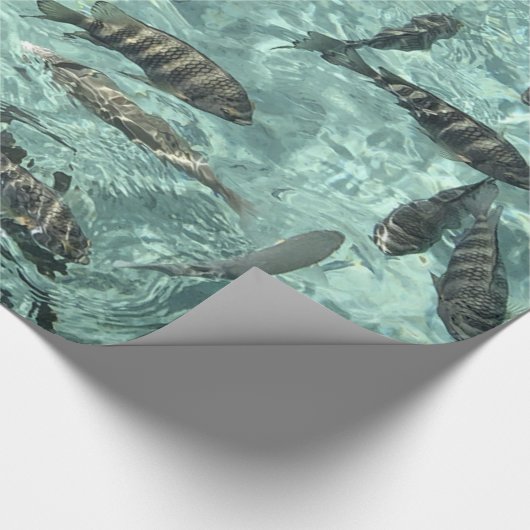 Papier Cadeau Poisson tropical (Coin)