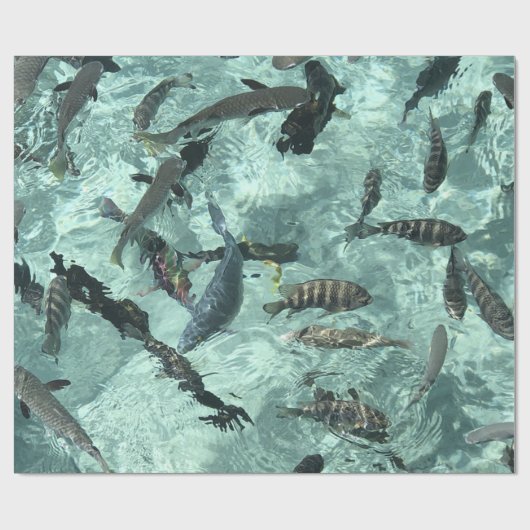 Papier Cadeau Poisson tropical (Plat)