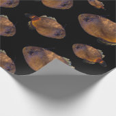 Papier Cadeau Poisson Veste En Cuir, Papier À Envelopper (Coin)