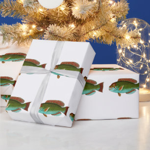 Papier Cadeau Poisson Vintage coloré