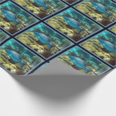 Papier Cadeau Poissons de récif (Coin)