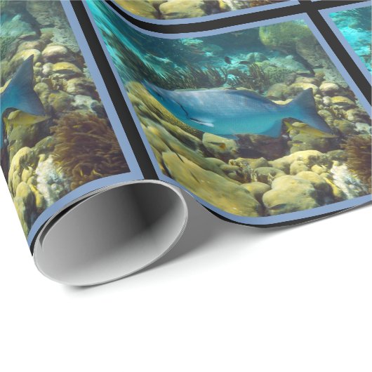 Papier Cadeau Poissons de récif (Coin rond)