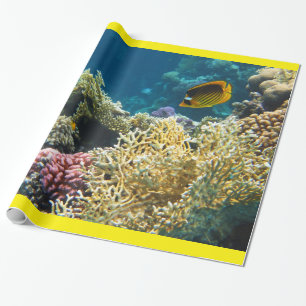 Papier Cadeau Poissons jaunes et noirs de papillon