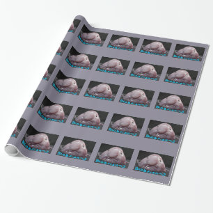 Papier Cadeau Poissons laids drôles ou Blobfish de goutte