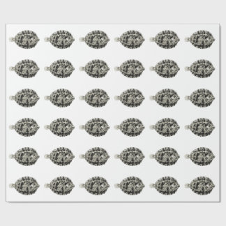 Papier Cadeau Poissons vintages de NZ de la Science - semelle de