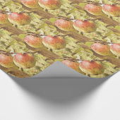 PAPIER CADEAU POMMES (Coin)