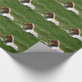 Papier Cadeau Poney (Coin)