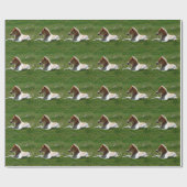 Papier Cadeau Poney (Plat)