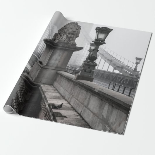 PAPIER CADEAU PONT DE LA CHAÎNE, BUDAPEST (Déroulé)