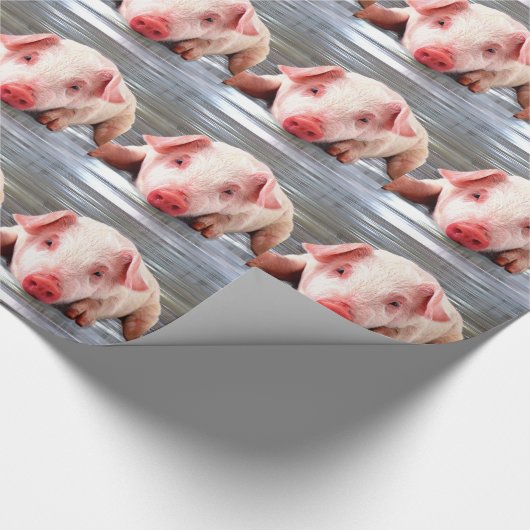 Papier Cadeau Porc (Coin)