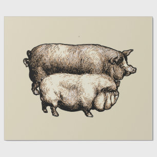 Papier Cadeau Porc de Ferme Vintage Antiquités de Bétail de Camp