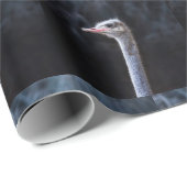 Papier Cadeau portrait d'autruche (Coin rond)