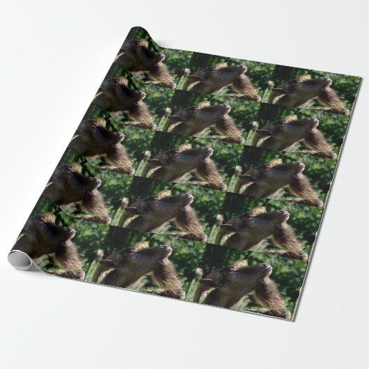 Papier Cadeau Portrait drôle de bouc Billy (Déroulé)