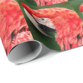 Papier Cadeau Portrait macaw à ailes vertes (Coin rond)