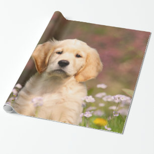 Papier Cadeau Portrait mignon de chiot de chien de golden