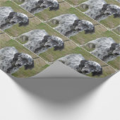 Papier Cadeau Poseur anglais noir et blanc adorable (Coin)